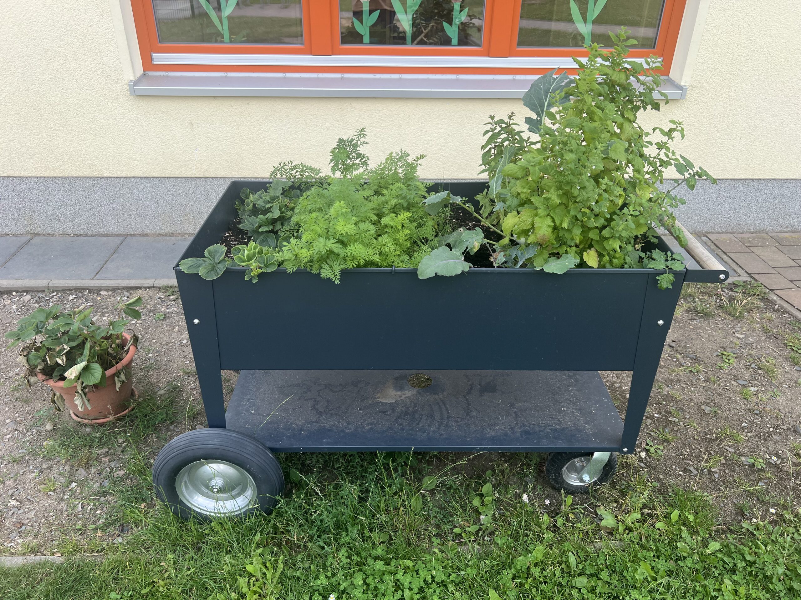 Hochbeet-wagen